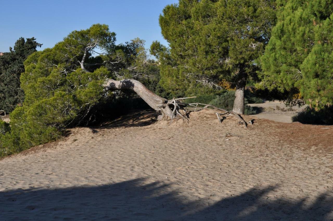 Costahispania 308 Gran Alacant Bagian luar foto